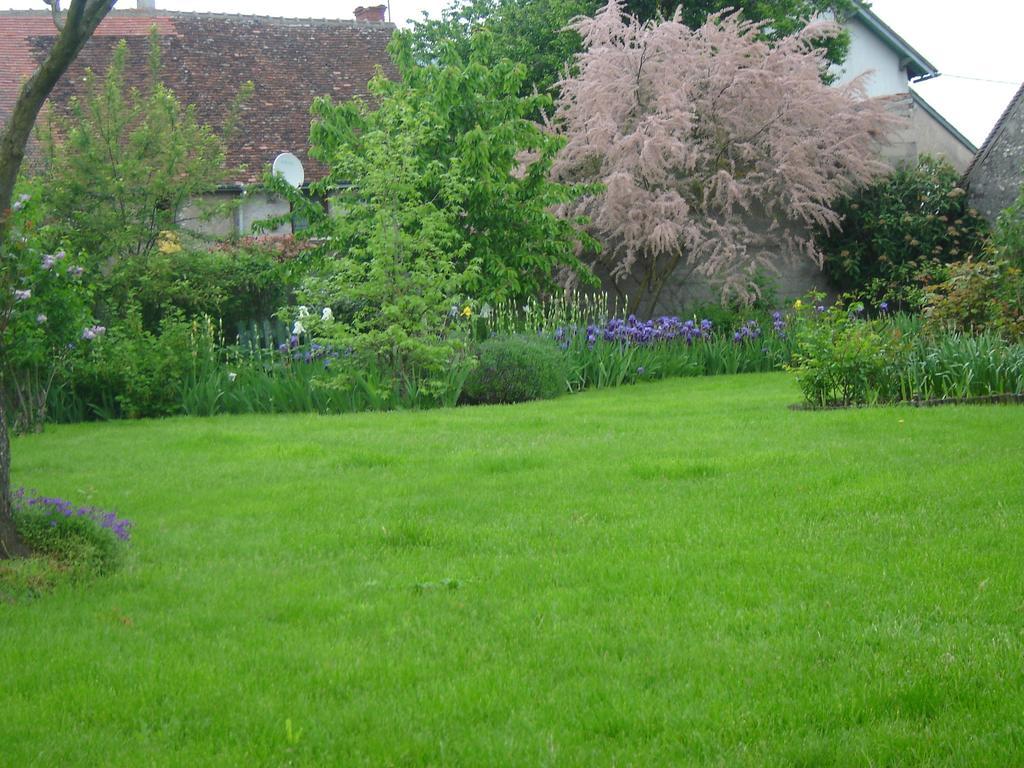 Les Bords De Loire Apartamento Veuves Quarto foto