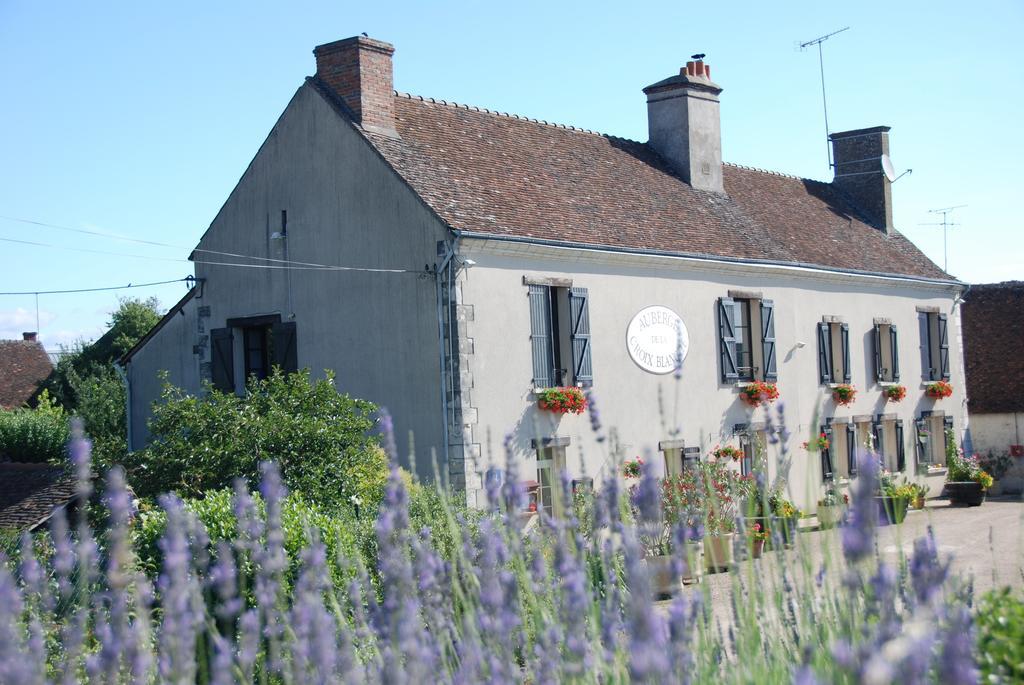 Les Bords De Loire Apartamento Veuves Quarto foto
